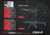 ICS CES-P MS1 S3 (SFS Stock)