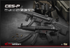 ICS CES-P MS1 S3 (SFS Stock)