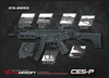 ICS CES-P MS1 S3 (SFS Stock)