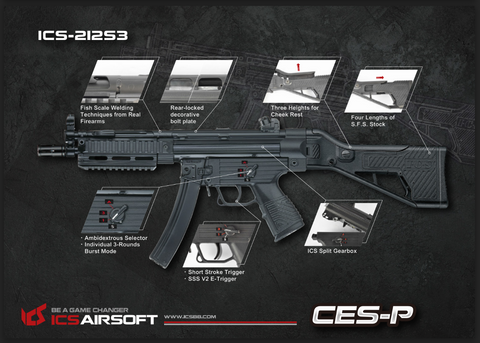 ICS CES-P MS1 S3 (SFS Stock)