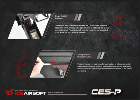 ICS CES-P MS1 S3 (SFS Stock)