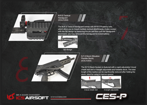 ICS CES-P MS1 S3 (SFS Stock)