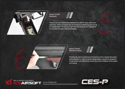 ICS CES-P MS1 S3（SFS 库存） 